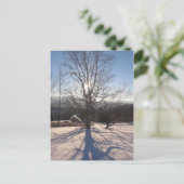 Carte Postale bouleau extensible (Debout devant)