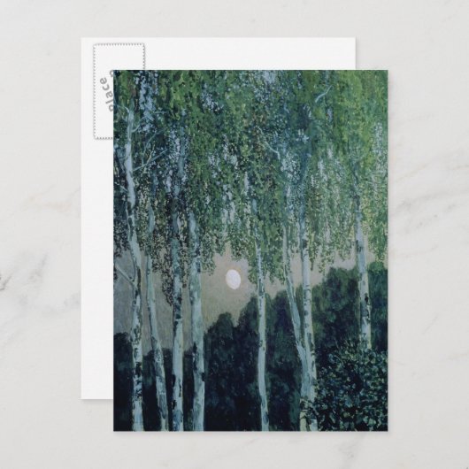 Carte Postale Bouleaux (Devant / Derrière)