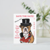 Carte Postale Bouledogue   (Debout devant)