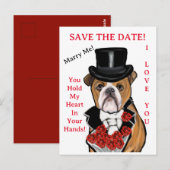 Carte Postale Bouledogue   (Devant / Derrière)