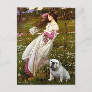 Carte Postale Bouledogue anglais 9 - Anémones