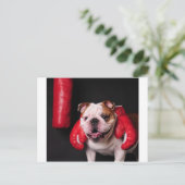 Carte Postale Bouledogue Boxeur (Debout devant)