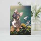 Carte postale Bouledogue français (Debout devant)