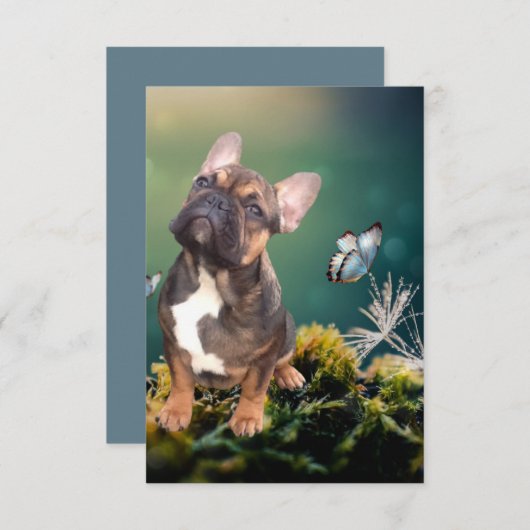 Carte postale Bouledogue français (Devant / Derrière)