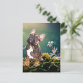 Carte postale Bouledogue français (Debout devant)