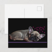 Carte Postale Bouledogue français (Devant / Derrière)