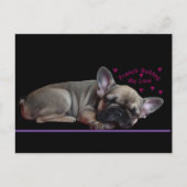 Carte Postale Bouledogue français (Devant)