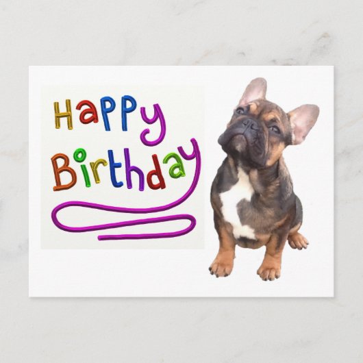 Carte Postale Bouledogue français Anniversaire Bouledogue frança (Devant)