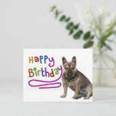 Carte Postale Bouledogue français Anniversaire Bouledogue frança (Debout devant)