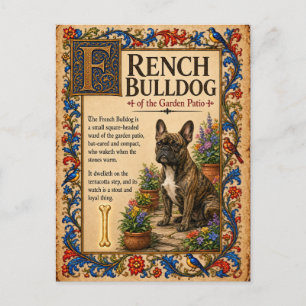 Carte Postale Bouledogue Français, Art de Bestiaire Médiéval