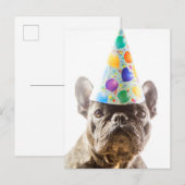 Carte Postale Bouledogue français avec chapeau de fête (Devant / Derrière)