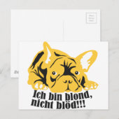 Carte Postale Bouledogue français : Blond ! (Devant / Derrière)