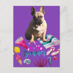 Carte postale bouledogue français bonjour l'été