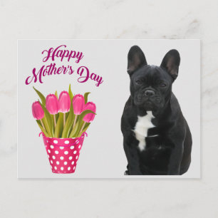 Carte postale Bouledogue français Fête des Mères