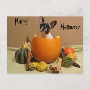 Carte Postale Bouledogue français Halloween