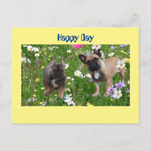 Carte Postale Bouledogue français Happy Day French Bulldog