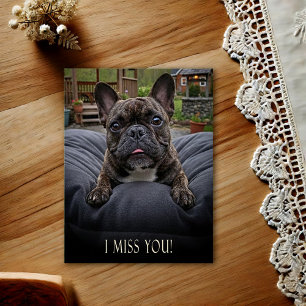 Carte postale Bouledogue Français Je vous manque
