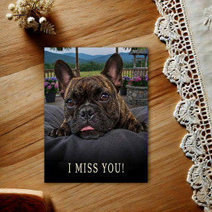 Carte postale Bouledogue Français Je Vous Miss