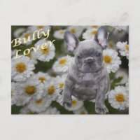 Bouledogue français mer de fleurs Bouledogue franç