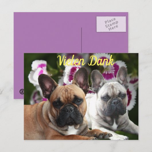 Carte Postale Bouledogue français Merci French Bulldog (Devant / Derrière)