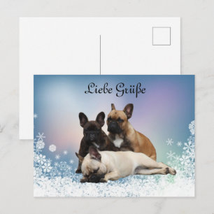 Carte Postale Bouledogue français neige French Bulldog