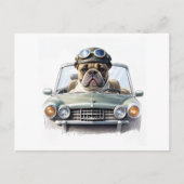 Carte Postale Bouledogue français Oldtimer (Devant)