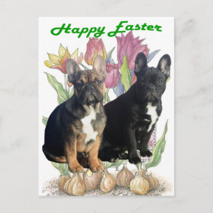 Carte Postale Bouledogue français Pâques