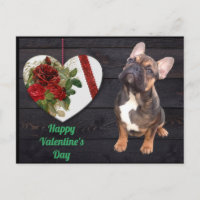 Bouledogue français Saint-Valentin French Bulldog
