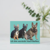 Carte Postale Bouledogue français trois amis Bouledogue Français (Debout devant)
