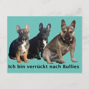 Carte Postale Bouledogue français trois amis Bouledogue Français