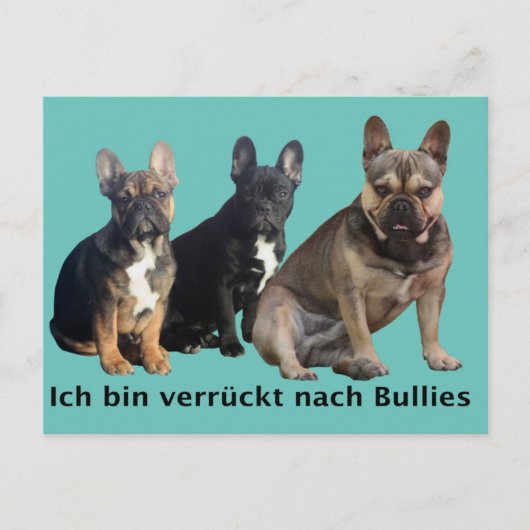 Carte Postale Bouledogue français trois amis Bouledogue Français (Devant)