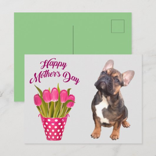 Carte Postale Bouledogue français Tulipes Bouledogue français (Devant / Derrière)