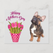 Carte Postale Bouledogue français Tulipes Bouledogue français (Devant)