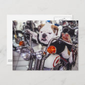 Carte Postale Bouledogue sur la moto (Devant / Derrière)