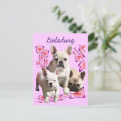 Carte Postale Bouledogues français Papillon  Bulldog (Debout devant)