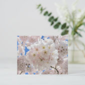Carte Postale Boules De Fleur Rose. (Debout devant)