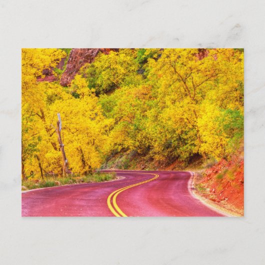 Carte Postale Boulevard d'automne (Devant)