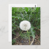 Carte Postale Boume de pustère (Devant / Derrière)