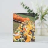 Carte Postale Bounty of fall (Debout devant)