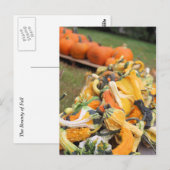 Carte Postale Bounty of fall (Devant / Derrière)