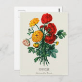Carte Postale Bouquet antique, Fleurs Ranunculus rouges et jaune (Devant / Derrière)