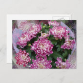 Carte Postale Bouquet Chrysanthemum (Devant / Derrière)