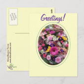 Carte Postale Bouquet coloré (Devant / Derrière)