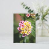 Carte Postale Bouquet Coloré (Debout devant)