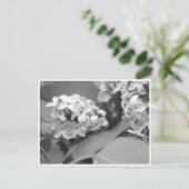 Carte Postale bouquet cool de lilas (Debout devant)