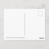 Carte Postale bouquet cool de lilas (Dos)