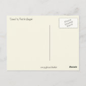 Carte Postale Bouquet Cosmos vintage (Dos)