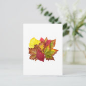 Carte Postale Bouquet d'automne (Debout devant)