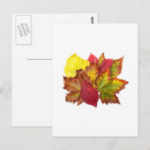 Carte Postale Bouquet d'automne (Devant / Derrière)