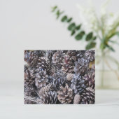 Carte Postale Bouquet de cônes de pin (Debout devant)